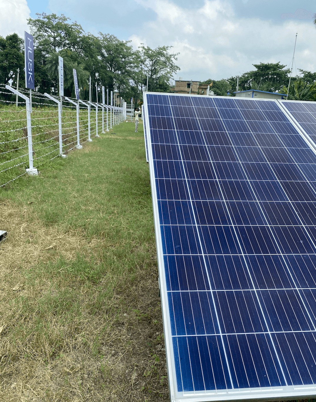 Renewable Energy Transition in Asia in Africa
