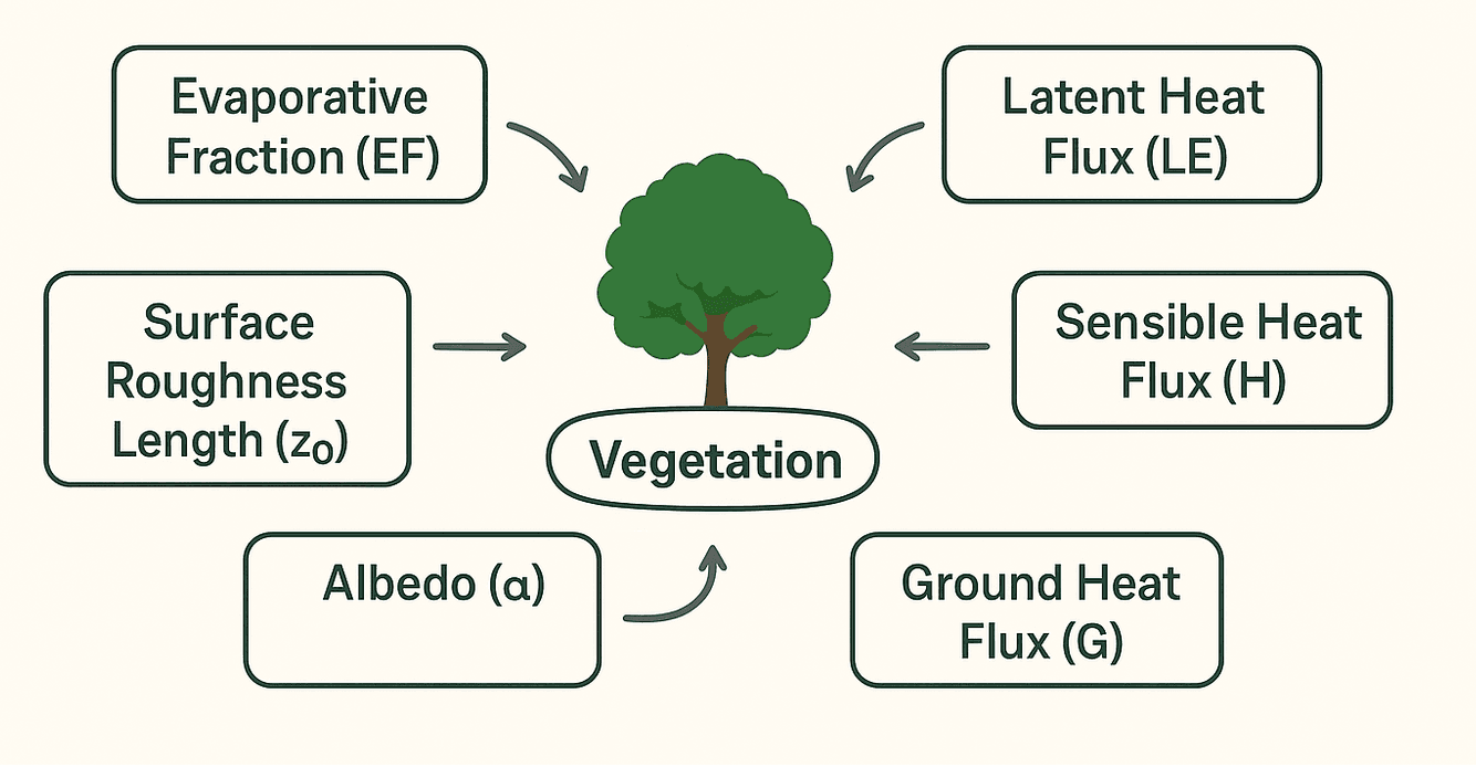 Micrometeorology and the Role of Land Surface Processes and Vegetation Dynamics in Climate Regulation